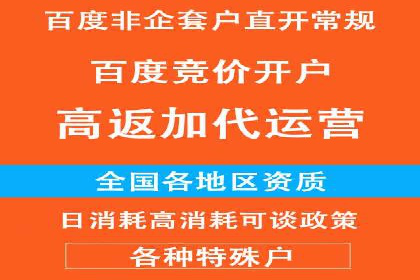 百度竞价代运营助力企业实现业绩飞跃
